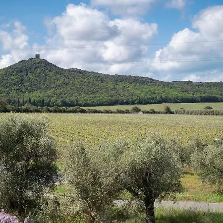 Podere Vignanova &
