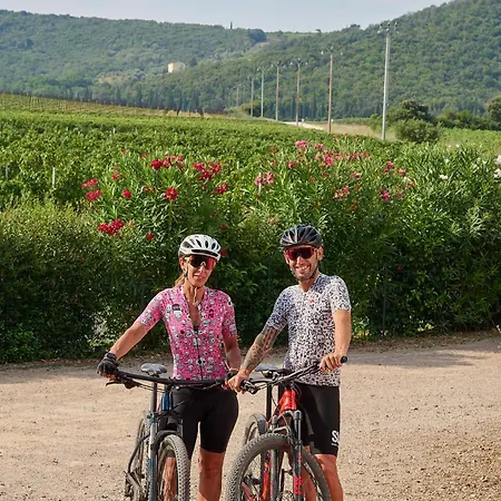 Podere Vignanova & فندق مبيت وإفطار