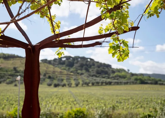住宿加早餐酒店 Podere Vignanova & 卡斯塔涅托卡尔杜奇