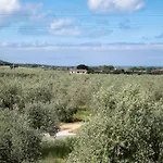 Bed & Breakfast Podere Vignanova & Castagneto Carducci