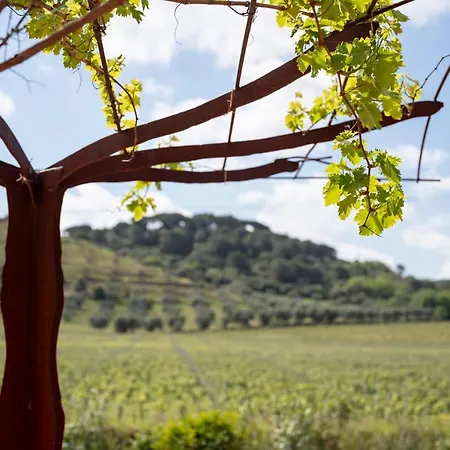 Bed & Breakfast Podere Vignanova & Castagneto Carducci