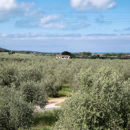 Nocleg ze śniadaniem Podere Vignanova & Castagneto Carducci