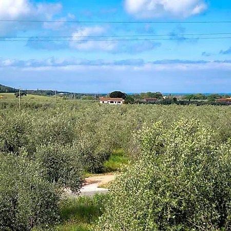 Panzió Podere Vignanova & Castagneto Carducci