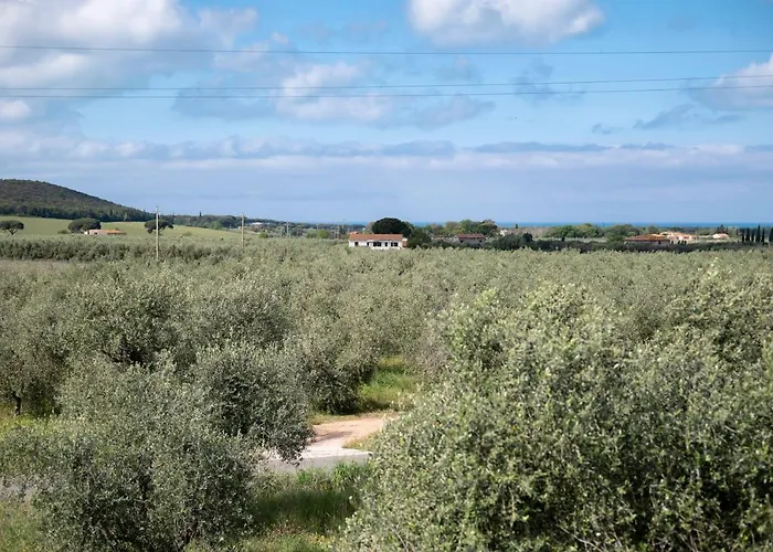 Bed & Breakfast Podere Vignanova & Castagneto Carducci