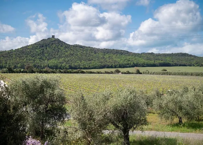 Podere Vignanova &