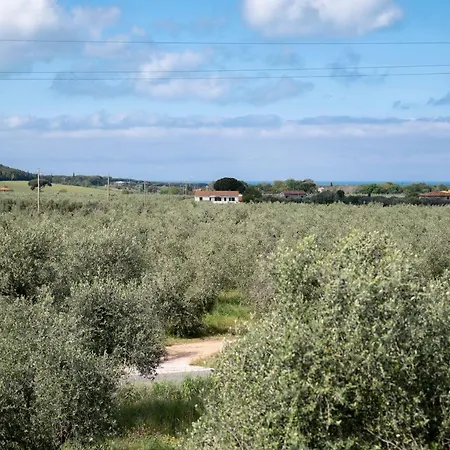 Nocleg ze śniadaniem Podere Vignanova & Castagneto Carducci